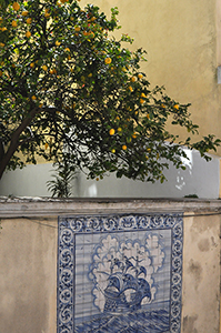 Cliquer pour agrandir