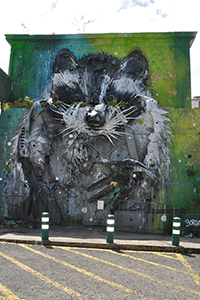 Cliquer pour agrandir