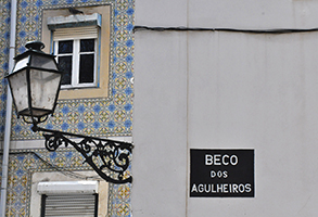 Cliquer pour agrandir