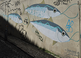 Cliquer pour agrandir