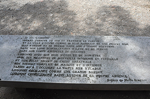 Cliquer pour agrandir