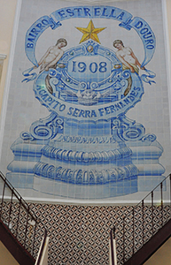 Cliquer pour agrandir