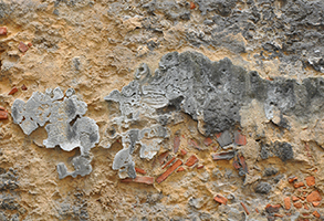 Cliquer pour agrandir