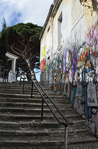 Cliquer pour agrandir