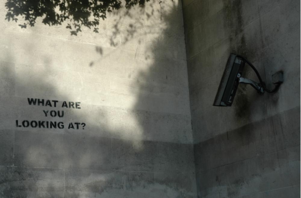 Cliquer pour agrandir l'image