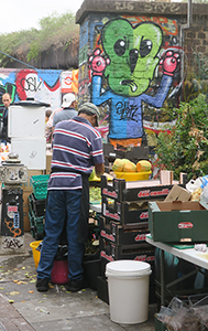 Cliquer pour agrandir l'image