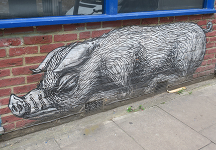 Cliquer pour agrandir l'image