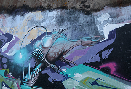 Cliquer pour agrandir l'image