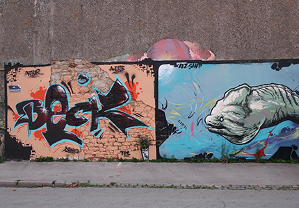 Cliquer pour agrandir l'image