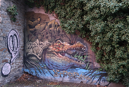 Cliquer pour agrandir l'image