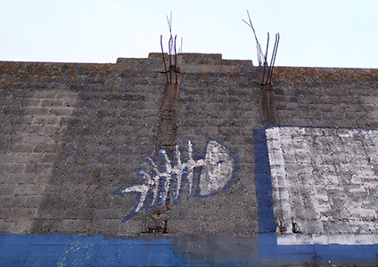 Cliquer pour agrandir l'image