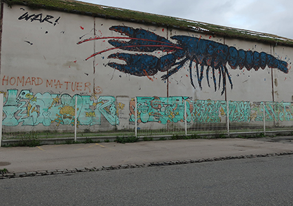 Cliquer pour agrandir l'image