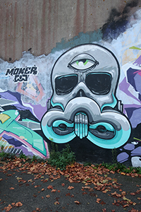 Cliquer pour agrandir l'image