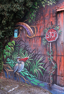 Cliquer pour agrandir l'image