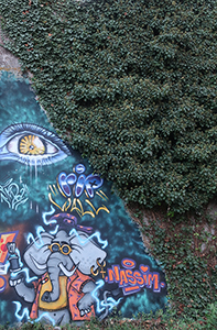 Cliquer pour agrandir l'image