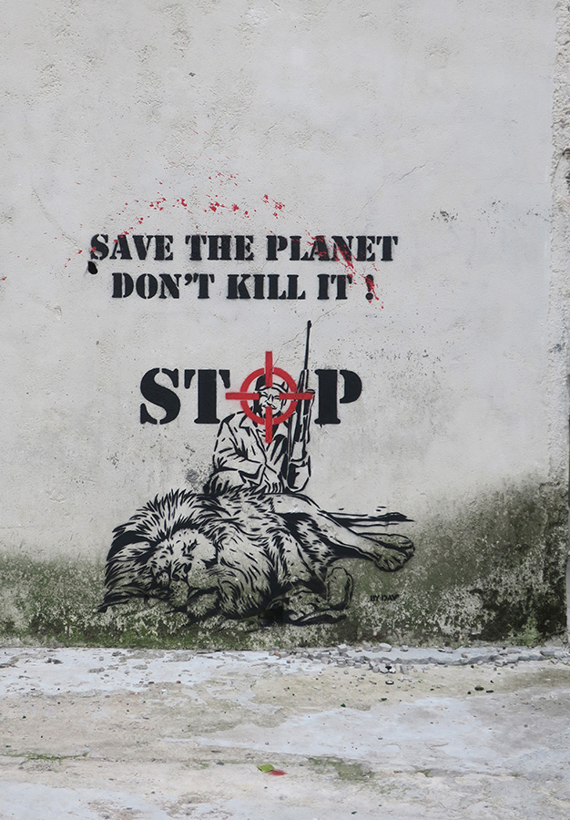 cliquer sur l'image pour agrandir