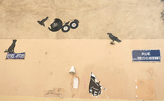 cliquer pour agrandir