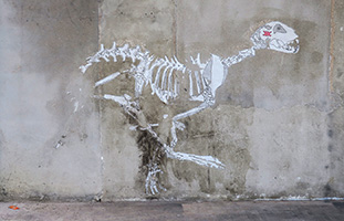 cliquer pour agrandir