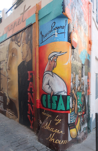 Cliquer pour agrandir l'image