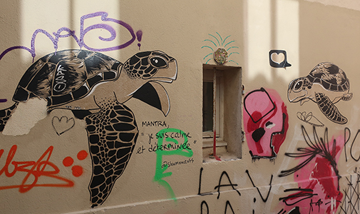 Cliquer pour agrandir l'image