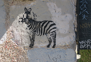 Cliquer pour agrandir