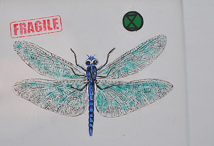 Cliquer pour agrandir l'image