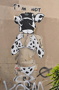 Cliquer pour agrandir l'image