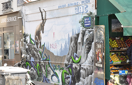 Cliquer pour agrandir l'image