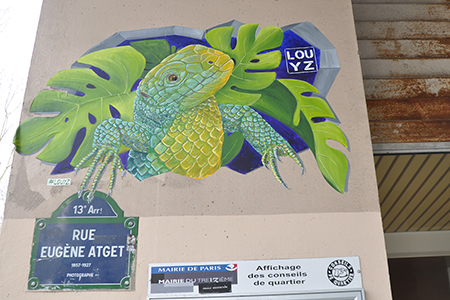 Cliquer pour agrandir l'image