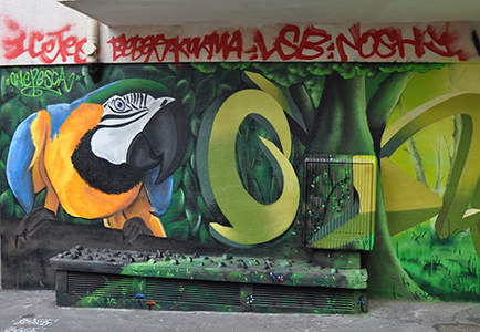 Cliquer pour agrandir l'image