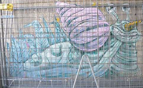 Cliquer pour agrandir l'image