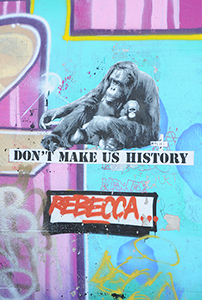 Cliquer pour agrandir l'image