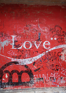 Cliquer pour agrandir l'image