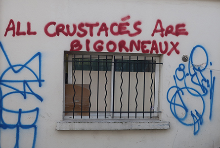 Cliquer pour agrandir l'image