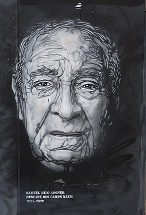 Cliquer pour agrandir l'image