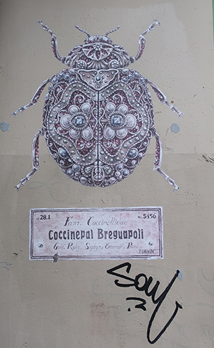 Cliquer pour agrandir l'image