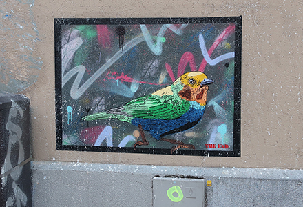 Cliquer pour agrandir l'image