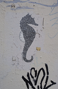 Cliquer pour agrandir l'image