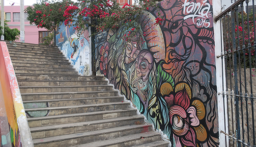 Cliquer pour agrandir l'image