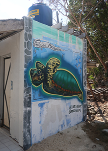 Cliquer pour agrandir l'image