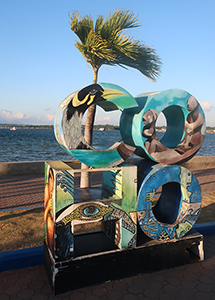 Cliquer pour agrandir l'image