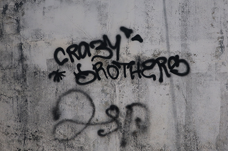 Cliquer pour agrandir l'image