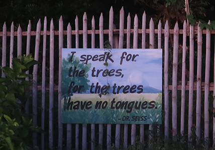 Cliquer pour agrandir l'image