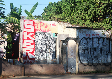 Cliquer pour agrandir l'image