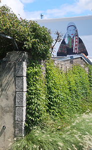 Cliquer pour agrandir l'image