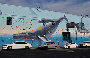 cliquer pour agrandir