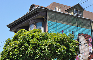 cliquer pour agrandir