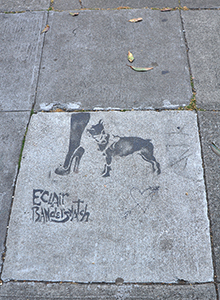 cliquer pour agrandir