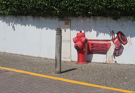 Cliquer pour agrandir l'image