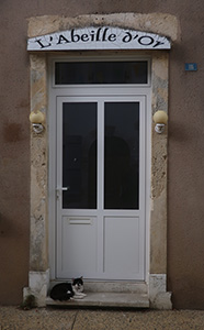 Cliquer pour agrandir l'image